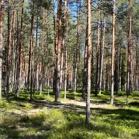 Casa vacanze Sepasaun Joaveski